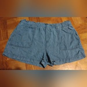 Time and Tru blue short